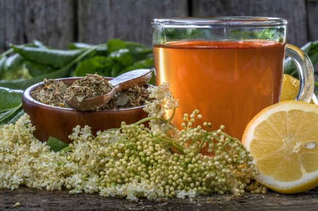 herbal teas for the prevention of parasites
