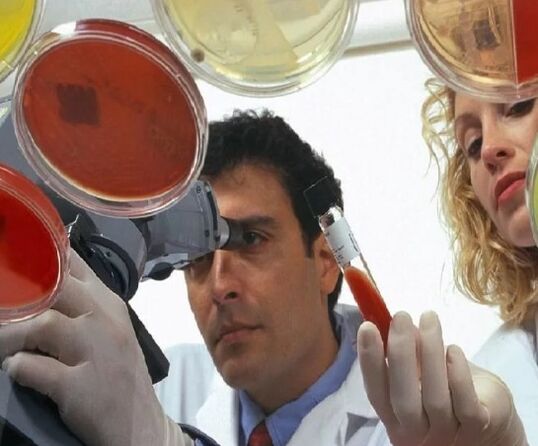 Diagnosis of elmintiasis