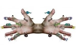 Parasitic microbes on human hands