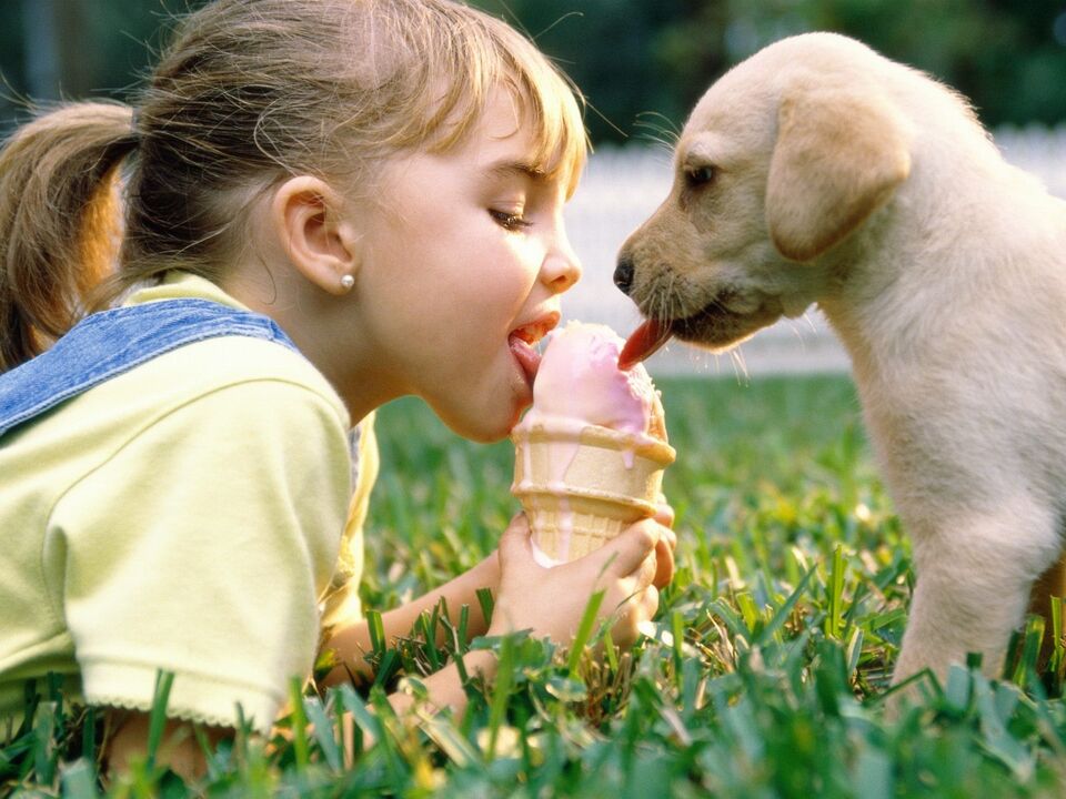 the girl and the dog eat ice cream and become infected with parasites