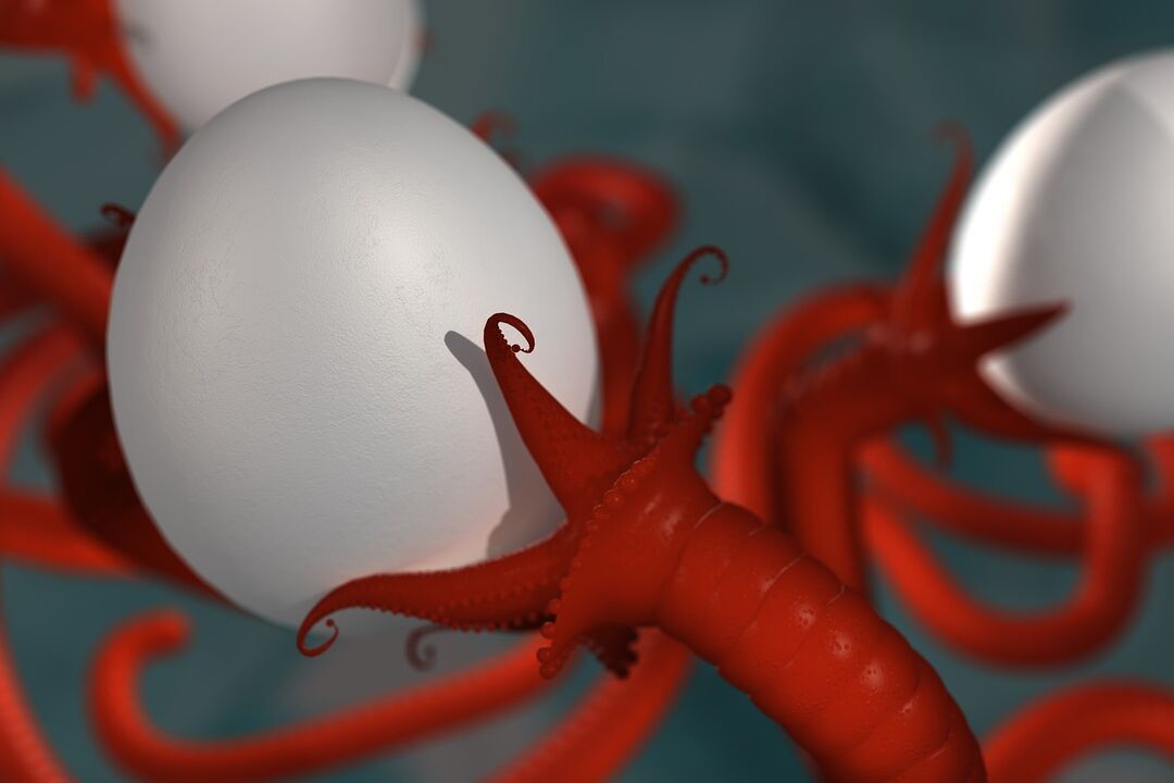 parasitic worm of man
